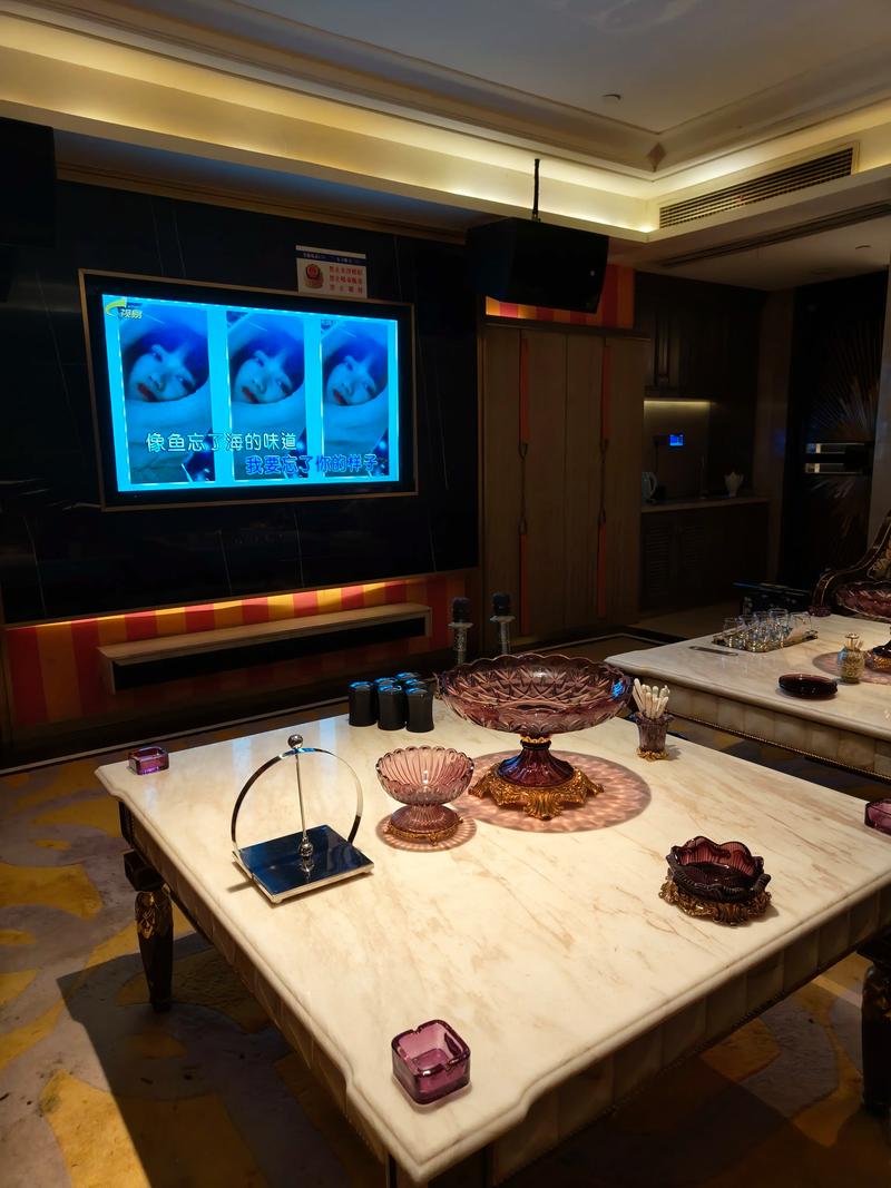 滁州商务ktv新兴商务ktv模式揭秘-琅琊区ktv预订